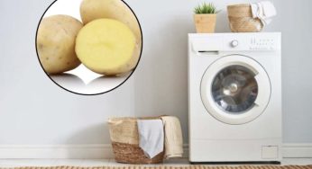 Vestiti in lavatrice, prima di far partire il lavaggio uso così una patata: succede l’incredibile
